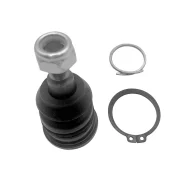 ����� ������� | ����� ����/��� | / CBM-43 CB0262 ����