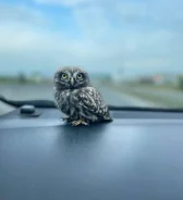 ������� ��� ����