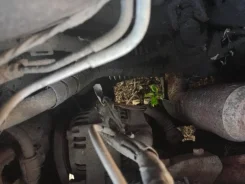 ��������� Toyota Camry CV30 2C-T 27060-64100 27060-64100 ����