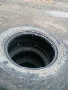 Arivo Terramax ARV. ������, �/�, ����� 50 %. �������� ������ ����