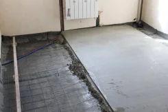������ �����. ����