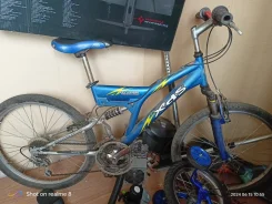 XDS ����