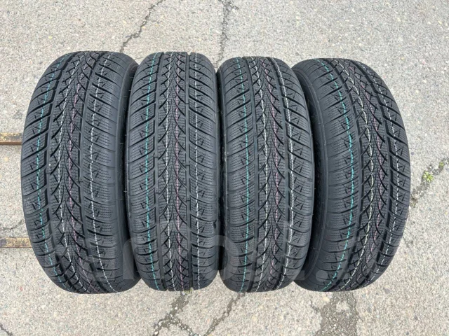 Triangle WinterX TW401. ������, ��� �����, 2026 ���, ����� ����