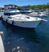 Bayliner. 1991 ���, ����� 12��., ��������� ������������, ������ ����
