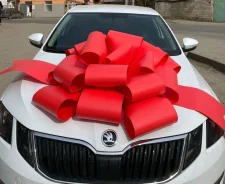 ���� ������� ���������� �� ���������� ����