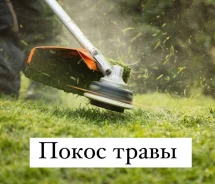 ������ ������ �����. ����