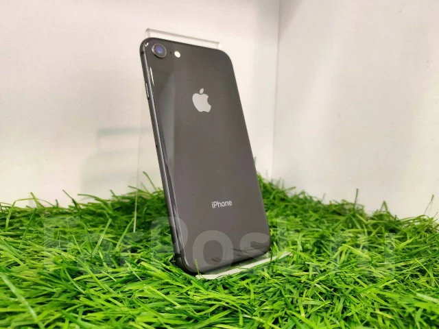 Apple iPhone 8. �/�, 64 �� ����