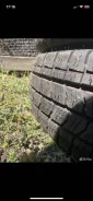 Accelera. ������, ��� �����, 2016 ���, ����� ����