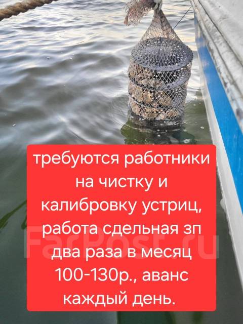 Разнорабочий, работа в Ооо рпк моряк во Владивостоке — вакансии на ФарПосте
