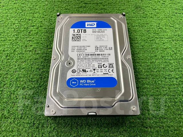Жесткий диск 1000Gb WD10EZEX 3.5, 1 000 Гб, б/у, в наличии. Цена: 1 400 ...