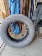 Winter Tact. ������, ����������, �/�, ����� 30 % ����