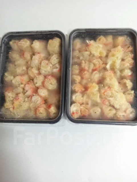 ���� ����������. ����