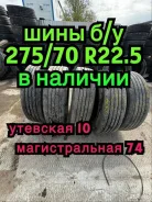 TyRex �-2. �����������, �/�, ����� 50 % ����