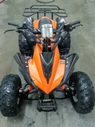 Avantis. ��������, �� ����