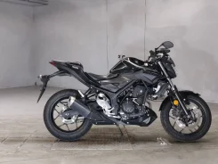 Yamaha MT-03. 300����. ��., ��������, ���������, ��� �������. ��� ����� �� ������������ ����
