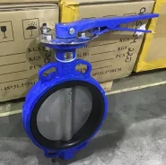 �������. ����