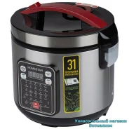 ����������� ������������� "HOMESTAR HS-2031" � �������� �����������, 5 ������, 900 �� ����