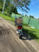 Yamaha Mate. 50����. ��., ��������, ��� ���, ������ �� �� ����
