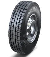 ���� Forza REG D