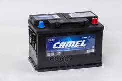 Camel