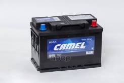 Camel