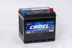 Camel