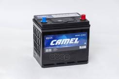 Camel