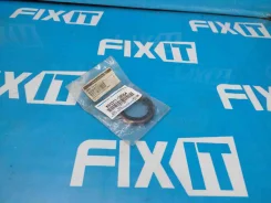 ������� ���� ����� �������� () K9031138064 ����