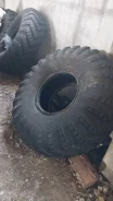 ��� �-159. �����������, 2010 ���, ����� ����