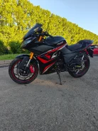 Falcon Terrail 250. 250����. ��., ��������, ���������, ������ �� �� ����