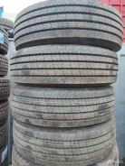 Annaite 366. �����������, 2024 ���, ����� ����