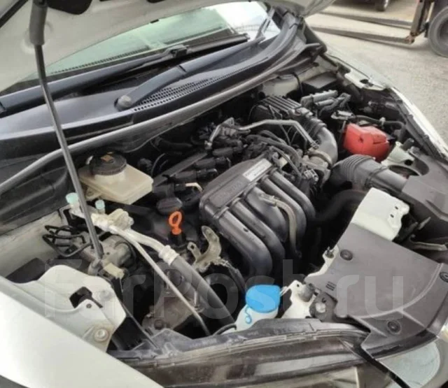 Honda Shuttle. GP81008725, LEB ����