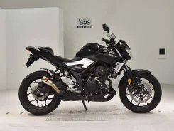 Yamaha MT-03. 320����. ��., ��������, ���������, ��� ������� ����