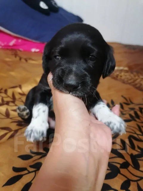 ������. ����