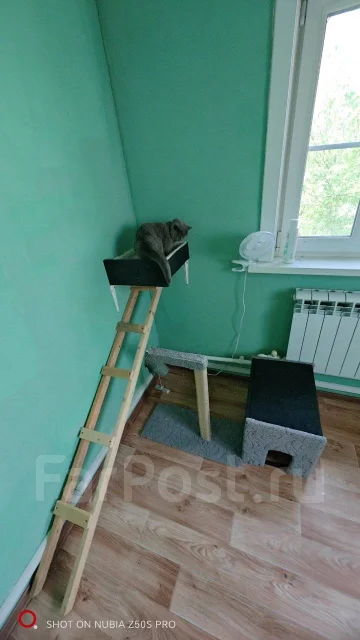 ���������� ��������. ����