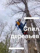 ������ ����������. ����