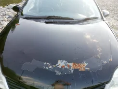 Nissan Primera. �������, ��������, ������ ����