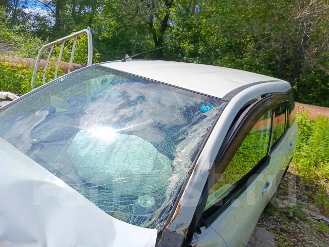 Nissan Wingroad ����