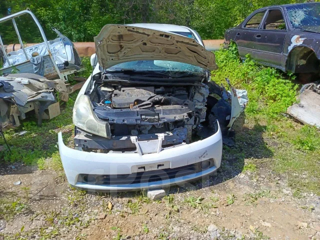 Nissan Wingroad ����