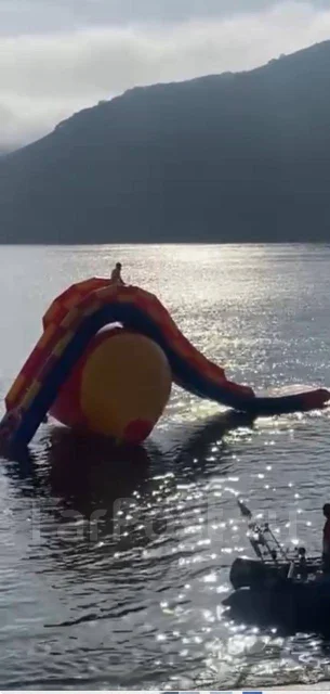 ������ ����� � �����������. ����