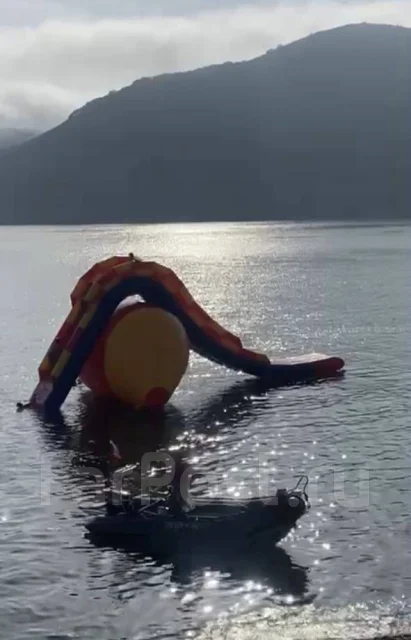 ������ ����� � �����������. ����