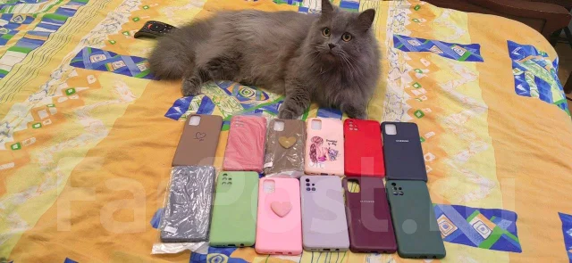 Samsung Galaxy M31s. �/�, 128 �� ����