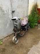 Honda Dio. 49����. ��., ����������, ���������, ������ �� �� ����