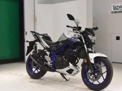 Yamaha MT-03. 320����. ��., ��������, ���������, ��� ������� ����