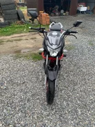 Regulmoto Raptor 250. 250����. ��., ��������, ���������, ������ �� �� ����