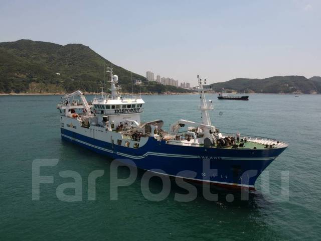 Электромеханик судовой на рыболовецкий супертраулер (Норвежской ...