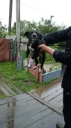 ������. ����