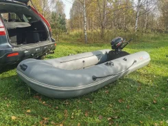 Profmarine PM 300 L. 2011 ���, ����� 3��., ��������� ���������, 2,5��.�., ������ ����