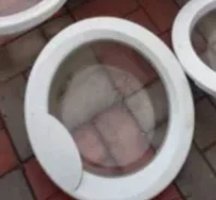 ����. ����