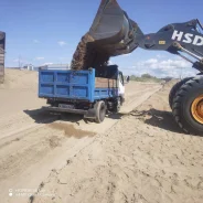 �����. ����
